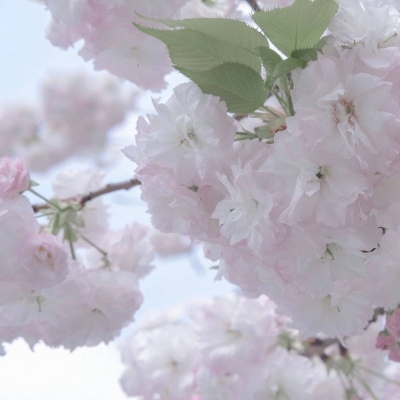 兽设火焰元素融合兽圈群